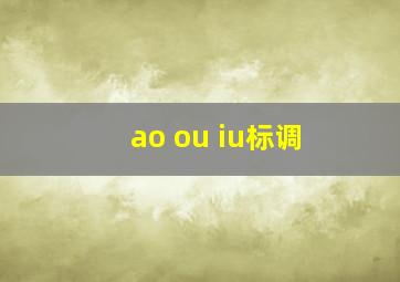 ao ou iu标调